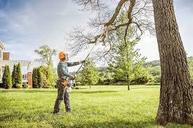 Best Lawn Renovation and Restoration  in Sitka, AK