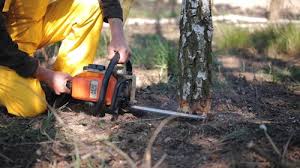 Best Soil Testing and Treatment  in Sitka, AK